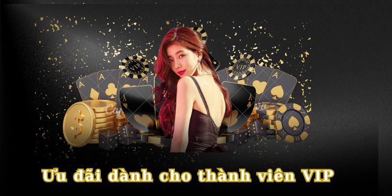 Ưu đãi 77BET dành riêng cho thành viên kì cựu